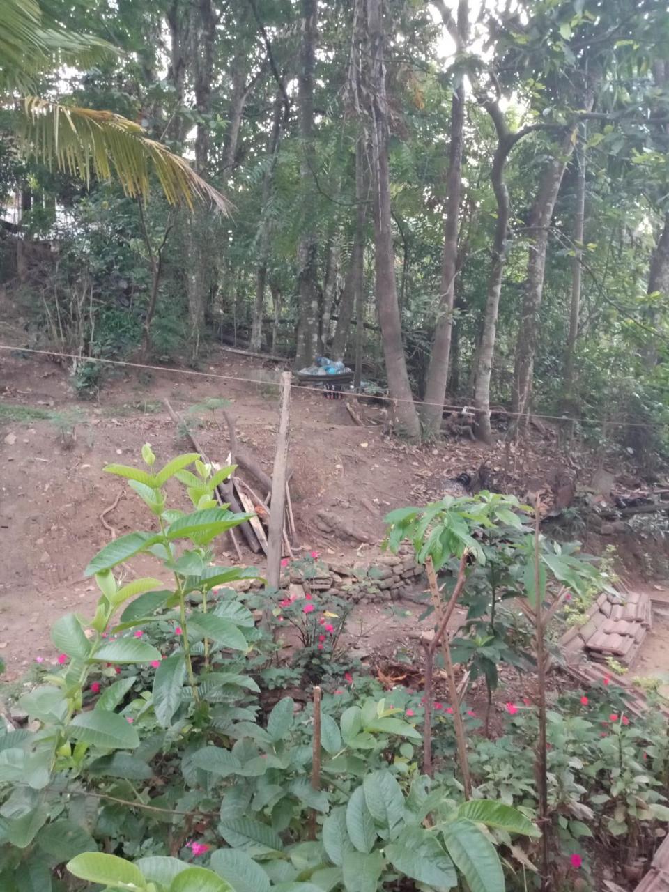 Damsen Homestay 엘라 외부 사진