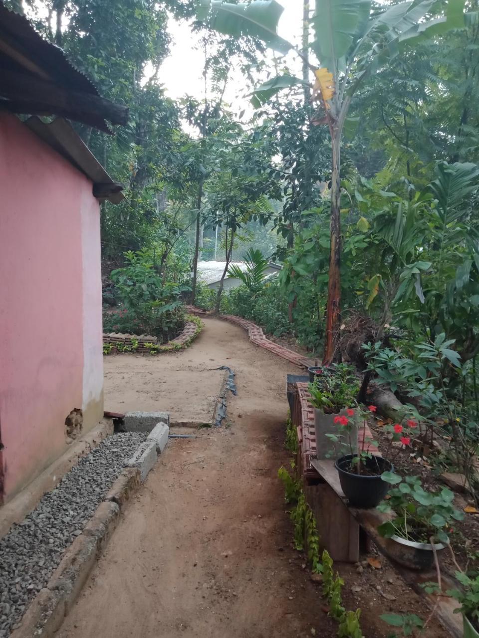 Damsen Homestay 엘라 외부 사진