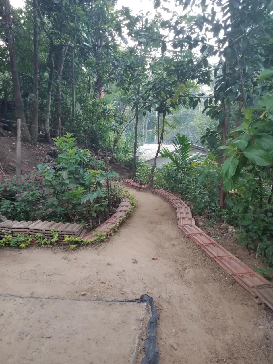 Damsen Homestay 엘라 외부 사진