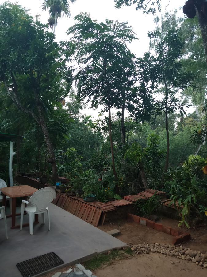 Damsen Homestay 엘라 외부 사진