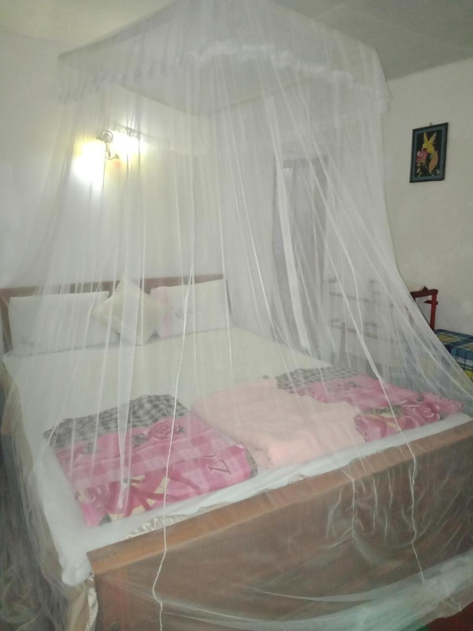 Damsen Homestay 엘라 외부 사진